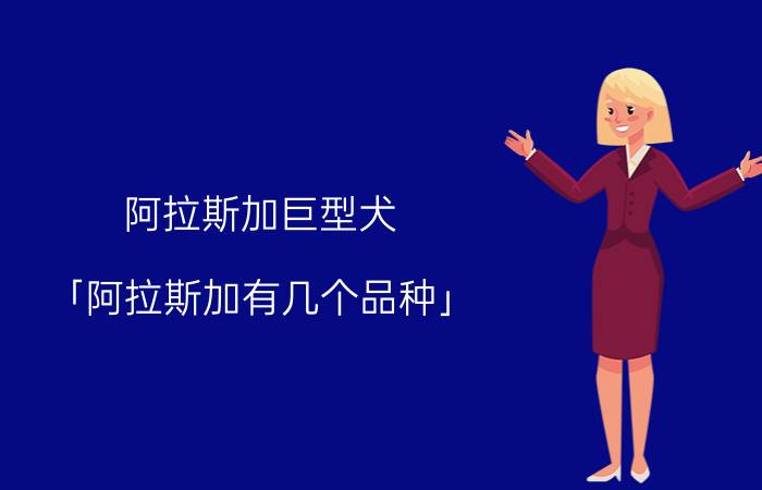 阿拉斯加巨型犬 「阿拉斯加有几个品种」